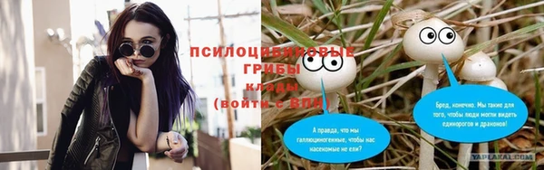 стаф Алексеевка