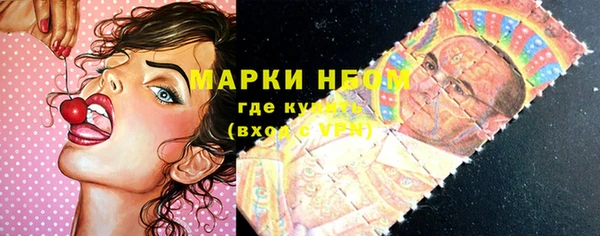 тгк Алзамай